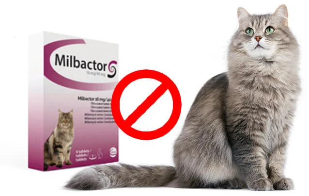 Milbactor 16 mg / 40 mg Cat 4 comprimés
